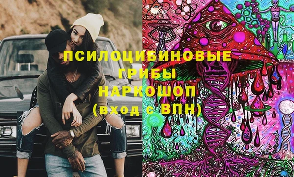 соль ск Арсеньев